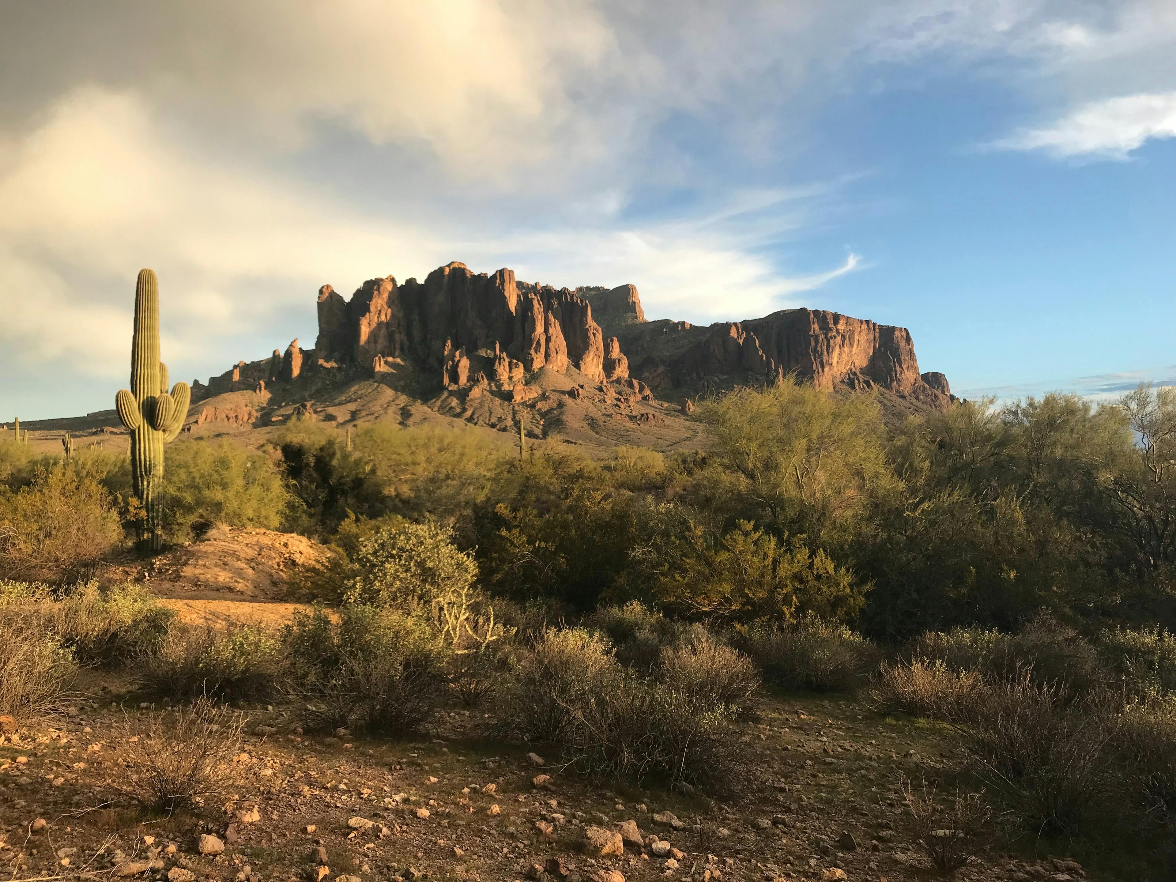 Arizona desert stock photo