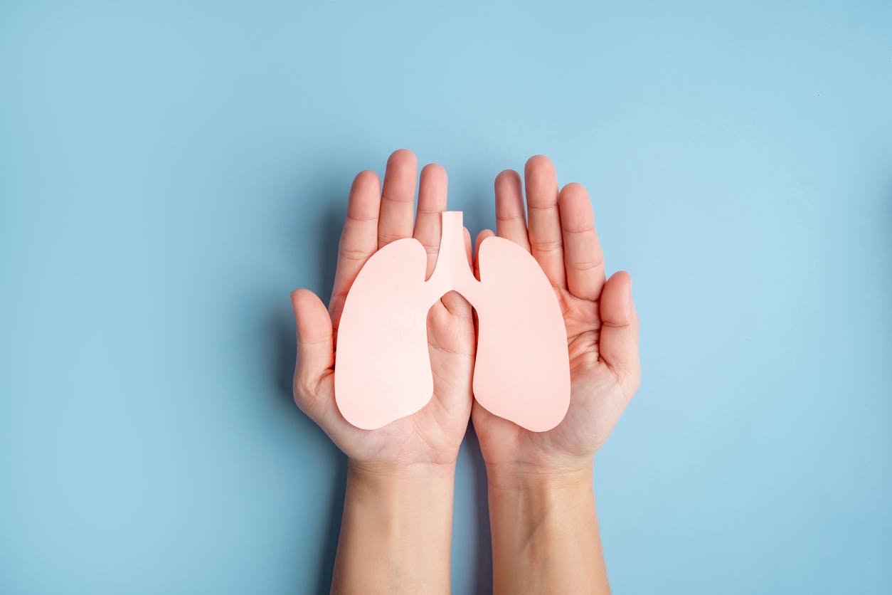 Human hands holding healthy lung shape made from paper on light blue background. stock photo
