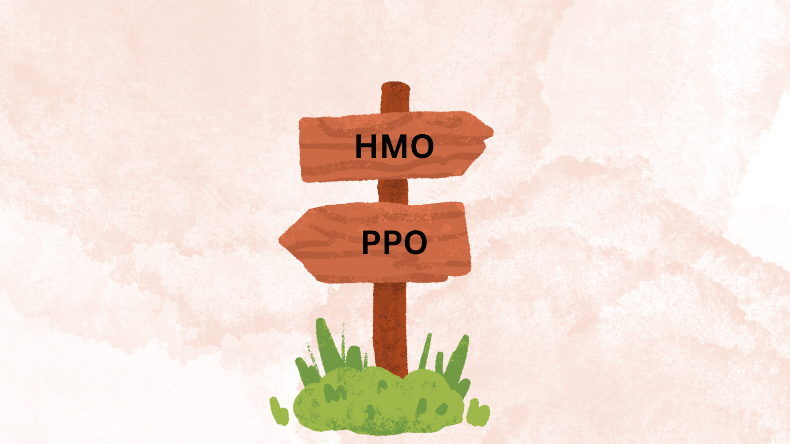 A cartoon signpost with HMO and PPO pointing in opposite directions