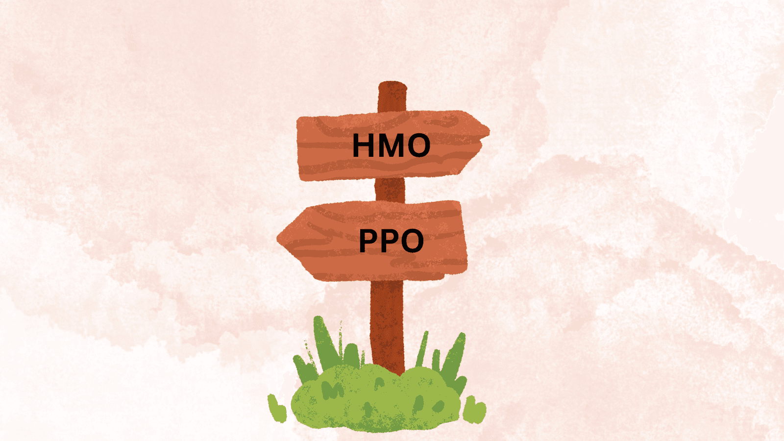 A cartoon signpost with HMO and PPO pointing in opposite directions