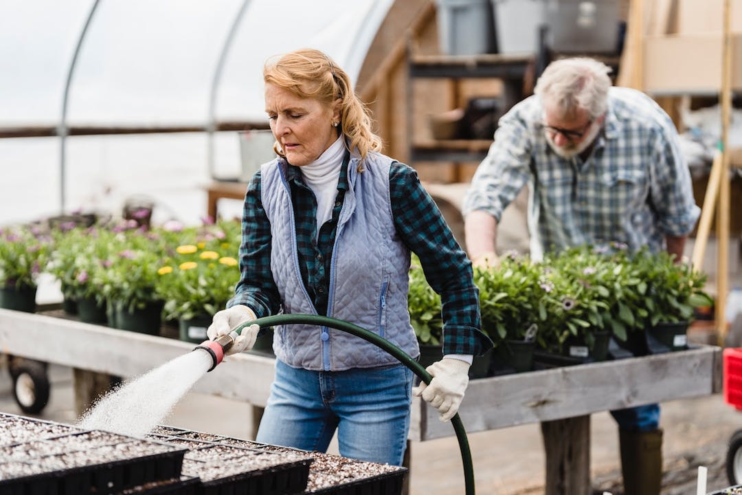 senior couple working in a greenhouse stock image